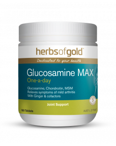  Glucosamine MAX