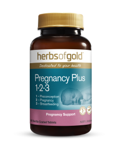  Pregnancy Plus 1-2-3